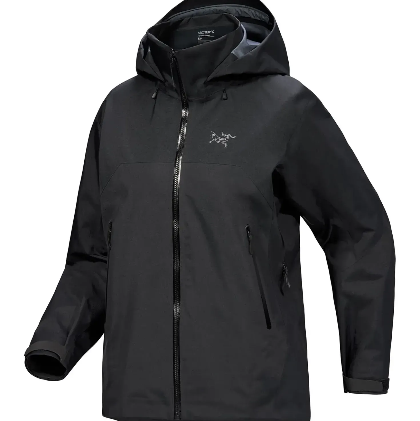 Arcteryx Womens Beta AR Jacket
