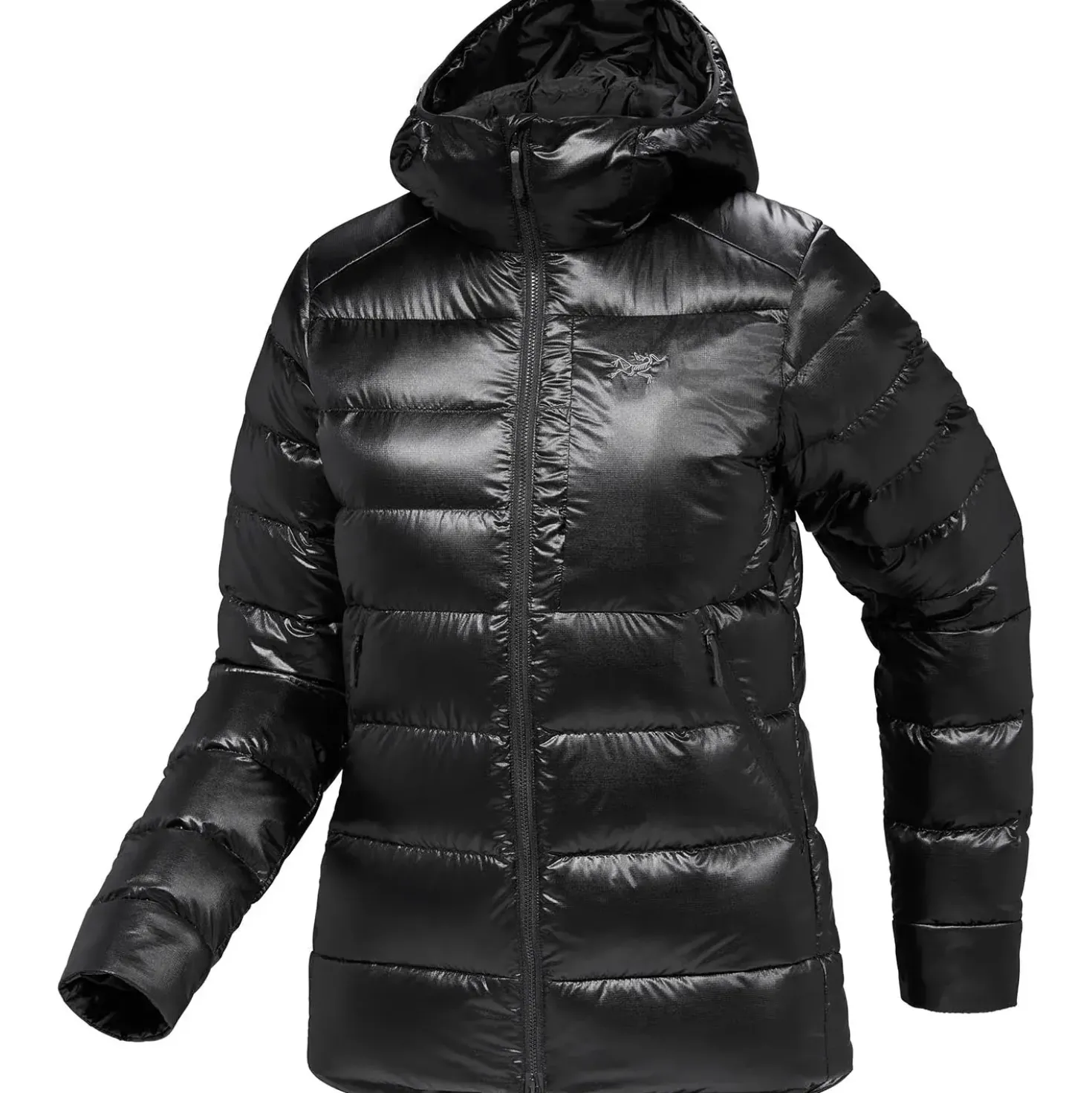 Arcteryx Womens Cerium SV Hoody