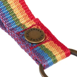 Fjällräven Kånken Rainbow Keyring
