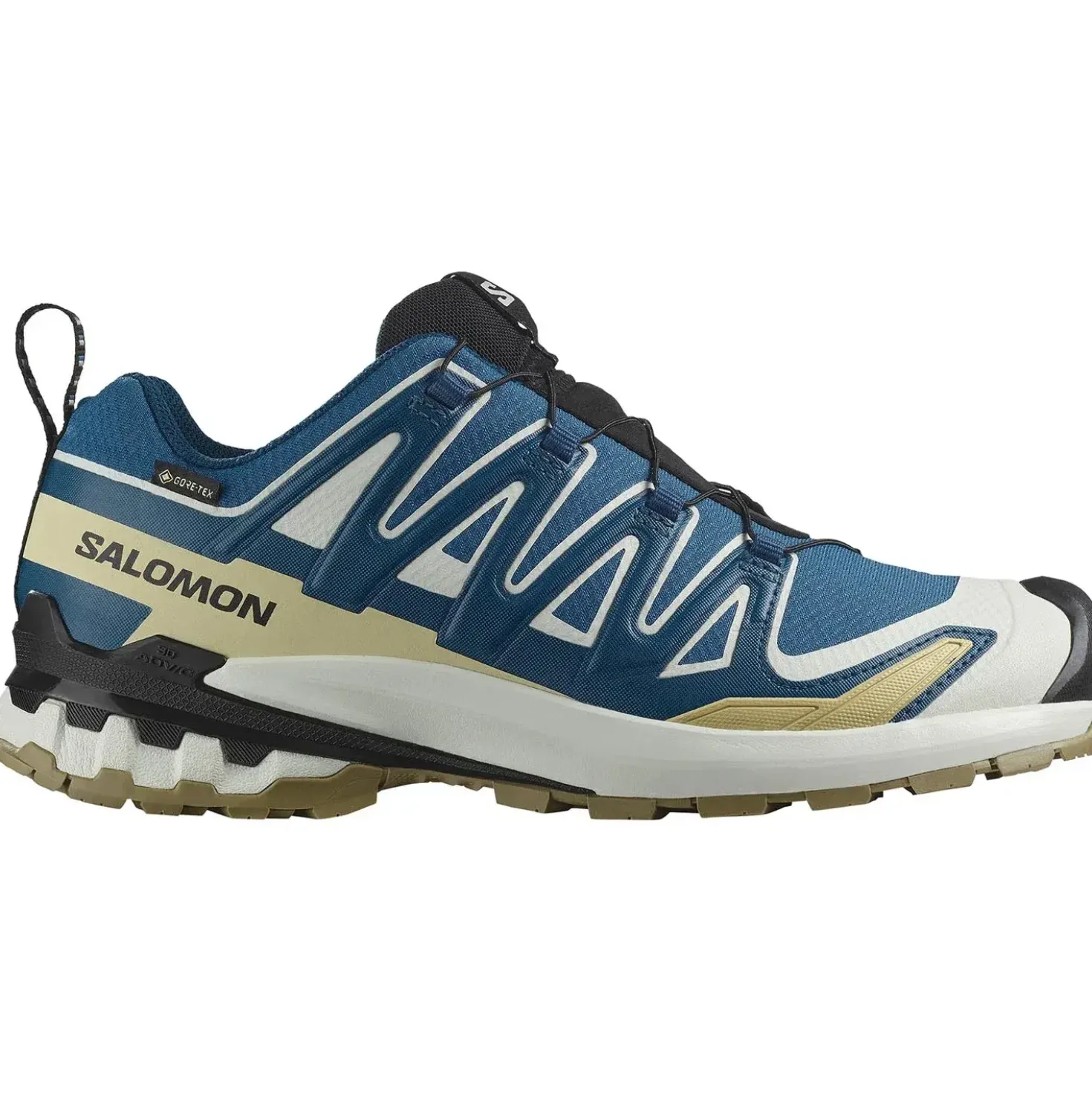 Salomon Mens XA Pro 3D V9 GTX