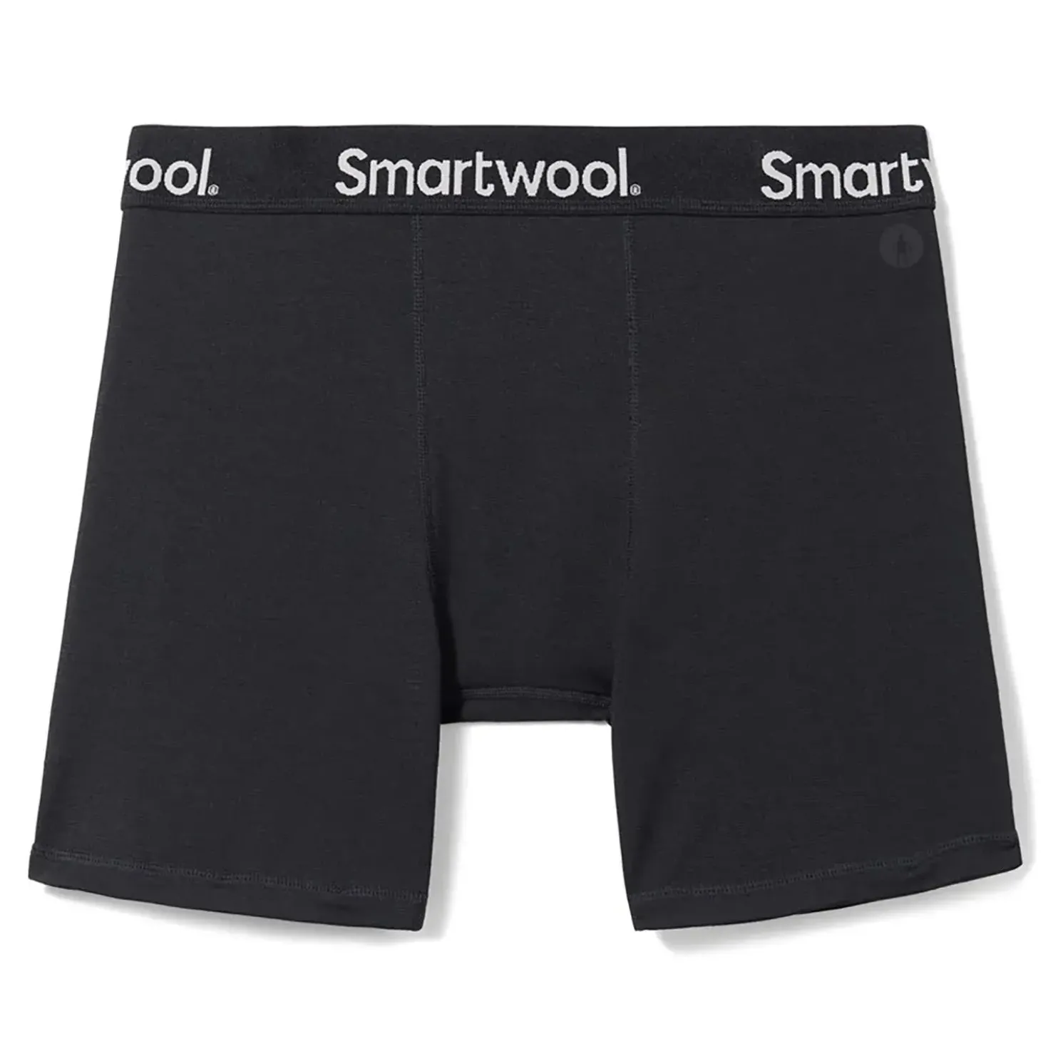 Smartwool Mens Active Boxer Brief Boxed